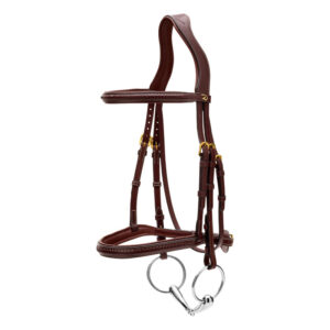 Dy'on Plaited Noseband Bridle Without Flash DY-10001-