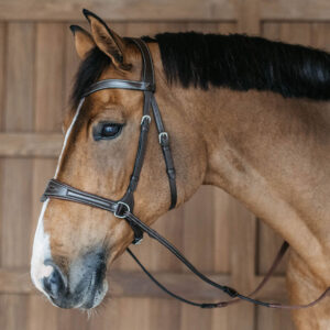 Dy'on Working Motion Bridle WOCCCW-