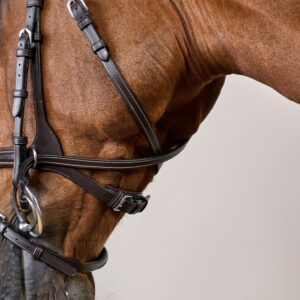 Dy'on Working Motion Bridle WOCCCW-
