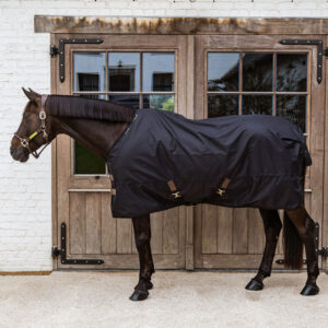 Turnout Rug All Weather Waterproof Classic - Black