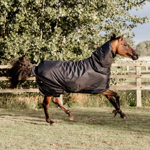 Turnout Rug All Weather Waterproof Classic - Black