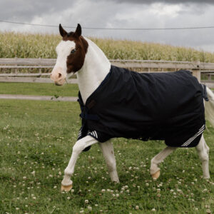 Kentucky Turnout Rug All Weather Waterproof Comfort - Black 52191