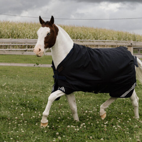 Kentucky Turnout Rug All Weather Waterproof Comfort - Black 52191