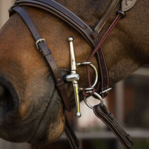 Velari Sweet Iron Full Cheek Gag Double Jointed