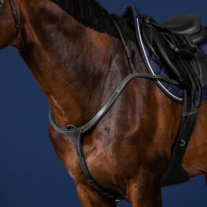 Dy'on US Collection Long Bridge Breast Plate
