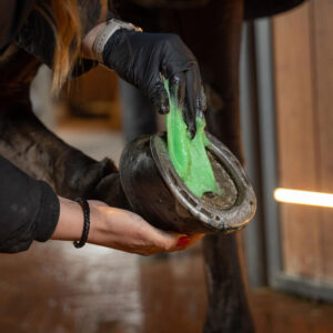 GD Epsom Salt 72136 Applying To Hoof