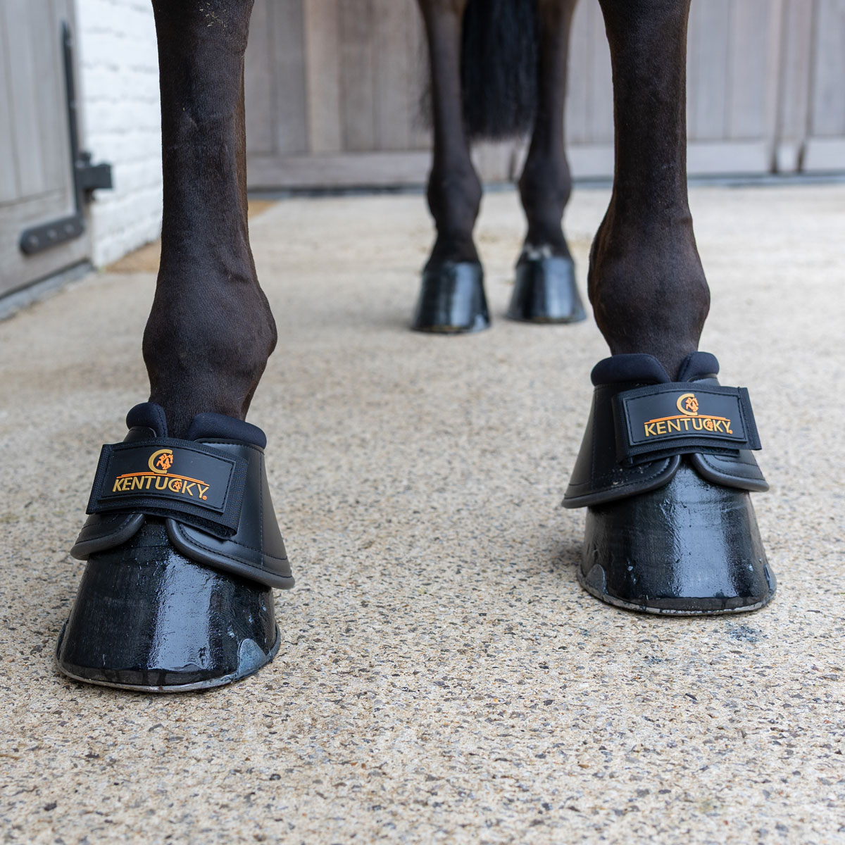 Kentucky Horsewear Overreach Boots Pro 3 Kentucky Horsewear Overreach Boots Pro - Image 3