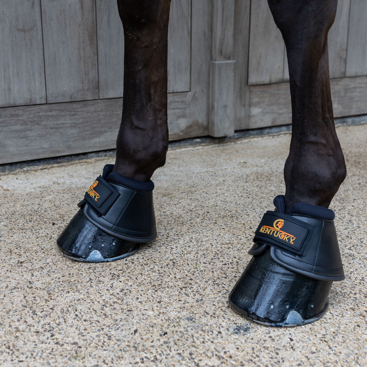Kentucky Horsewear Overreach Boots Pro 2 Kentucky Horsewear Overreach Boots Pro - Image 2