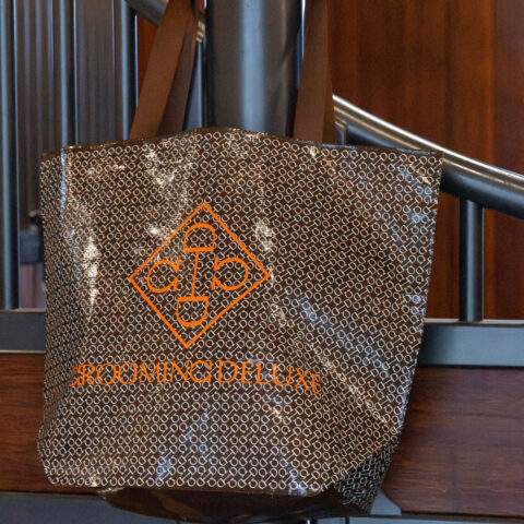 Shopping Bag