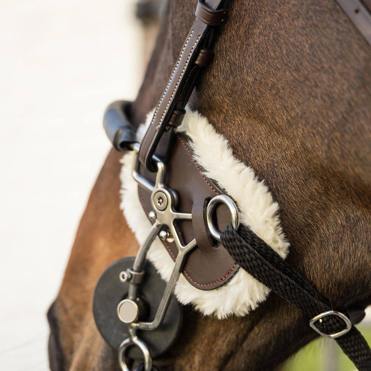 Dy'on Sheepskin Hackamore Protection 4 Dy'on Sheepskin Hackamore Protection - Image 4