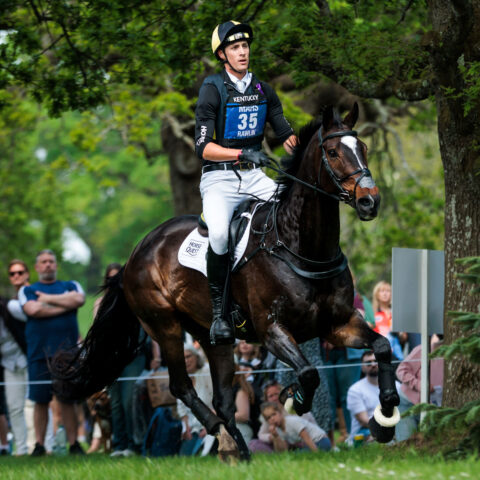 Kentucky Horsewear Eventing Bib