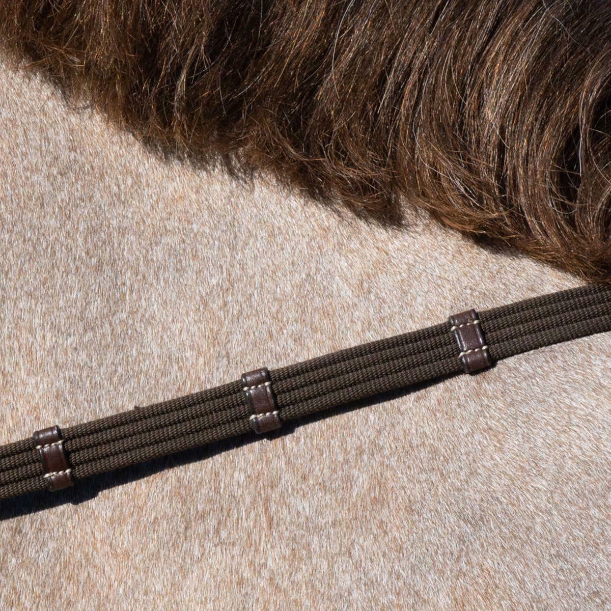Working Collection 5/8inch Web Reins 1 Working Collection 5/8inch Web Reins WO05K